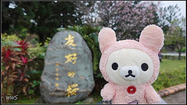 15SUN05810 拉拉熊在「與日本友好之櫻」紀念碑合影
