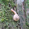 20110625永茂森林山莊 066.jpg