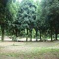 20110625永茂森林山莊 076.jpg