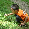 20110625永茂森林山莊 105.jpg