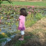 20110702金山水田園農莊 039.jpg