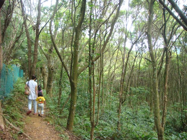 新竹水田營地 030.jpg