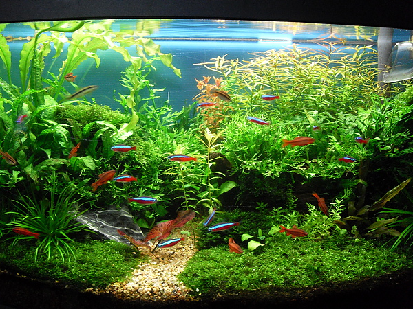 20100722E.JPG 20100722E.JPG
