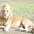 獅子2