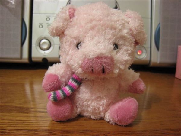 最愛的粉紅小豬
