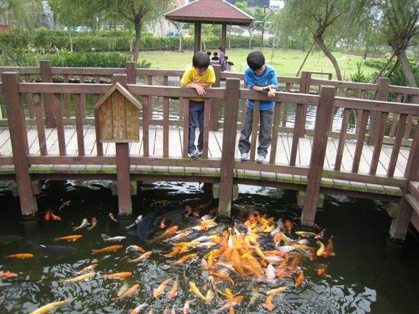 還可以餵魚喔~