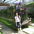 一天的local tour最後來到Orchid farm