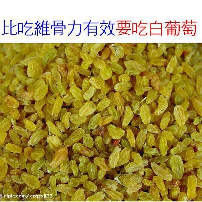 白葡萄 白葡萄