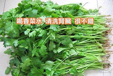 香菜 香菜