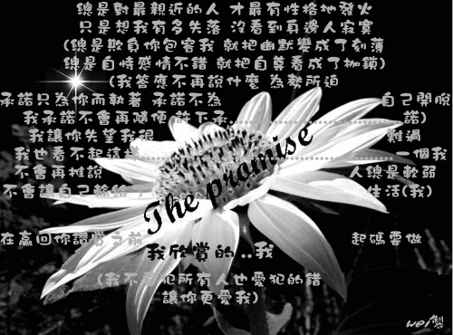 The promise~ The promise~