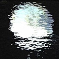 白夜行 12