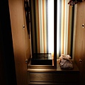 PhotoCap_049.jpg