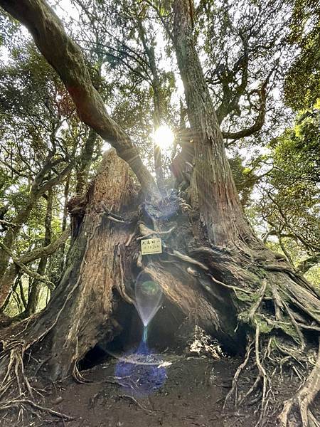 IMG_0181.JPG IMG_0181.JPG