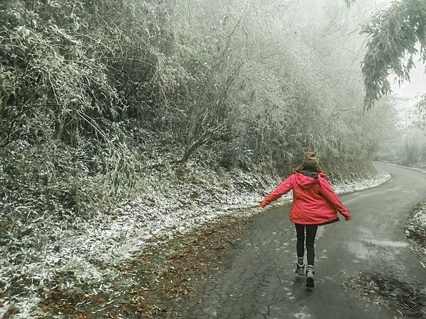 Caaammpinngg_210520_6-2.jpg Caaammpinngg_210520_6-2.jpg