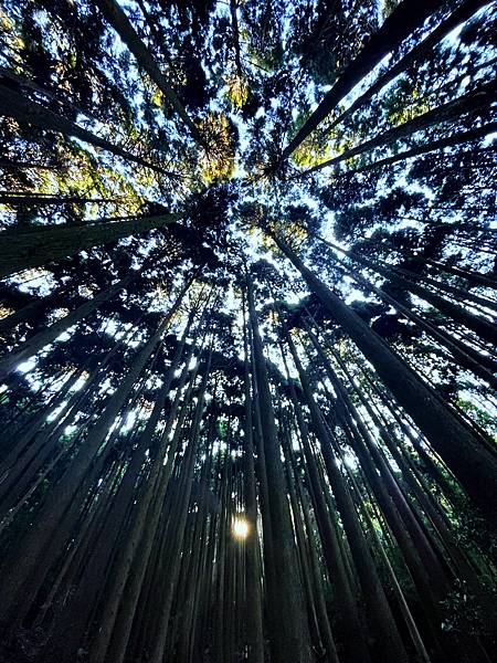 加里山_1C000F82-0D23-42C6-8AC4-D1079636ECA5_1_105_c.jpeg 加里山_1C000F82-0D23-42C6-8AC4-D1079636ECA5_1_105_c.jpeg