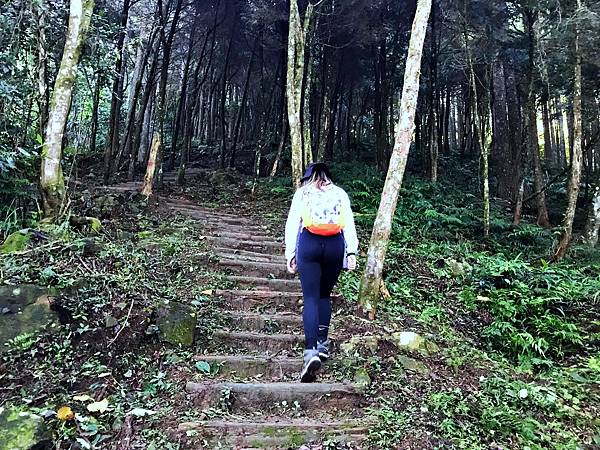 加里山_18F0847F-EB3E-47A9-94C7-B013E0E9570B_1_105_c.jpeg 加里山_18F0847F-EB3E-47A9-94C7-B013E0E9570B_1_105_c.jpeg