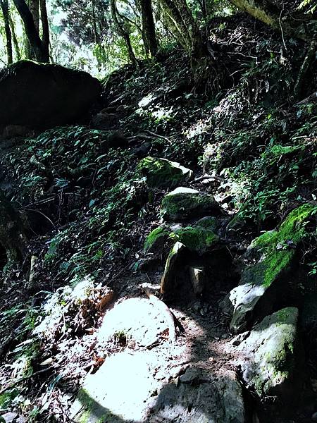 加里山_555393D6-E245-4ED7-BD86-7527202B976F_1_105_c.jpeg 加里山_555393D6-E245-4ED7-BD86-7527202B976F_1_105_c.jpeg