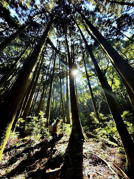 加里山_B599B4D1-340F-4B28-8FDD-45F2E162374A_1_105_c.jpeg 加里山_B599B4D1-340F-4B28-8FDD-45F2E162374A_1_105_c.jpeg