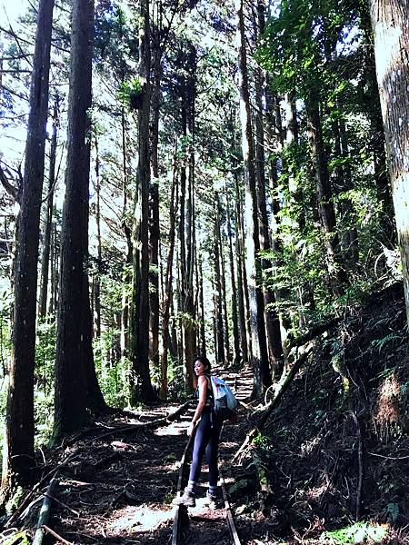 加里山_BF03DC93-15D9-4D1E-9409-34F7907EED29_1_105_c.jpeg 加里山_BF03DC93-15D9-4D1E-9409-34F7907EED29_1_105_c.jpeg