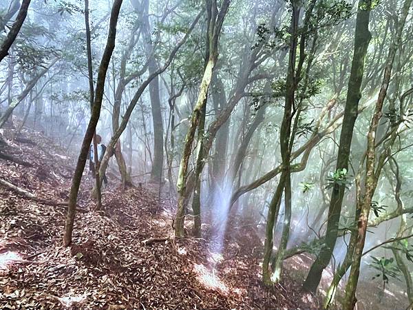 加里山_F11537AC-6198-4CB0-9C97-1E900EA51516_1_105_c.jpeg 加里山_F11537AC-6198-4CB0-9C97-1E900EA51516_1_105_c.jpeg