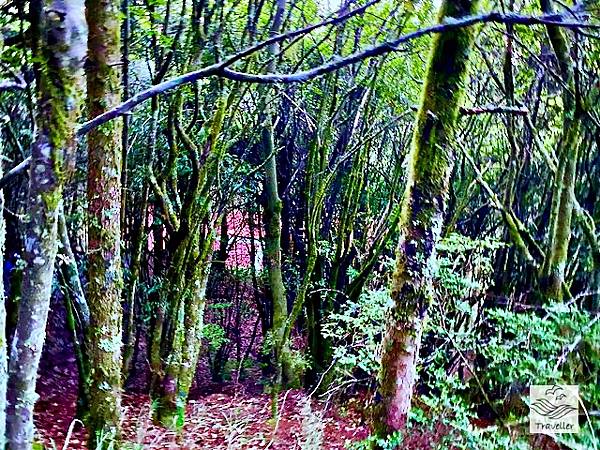 雪山北_IMG_0272.jpeg 雪山北_IMG_0272.jpeg