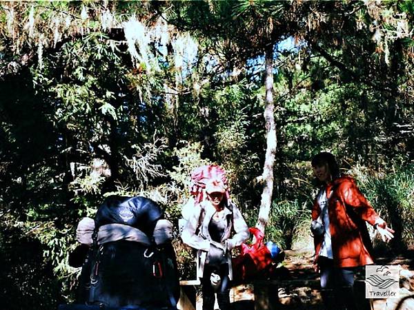 雪山北_IMG_4341.jpeg 雪山北_IMG_4341.jpeg