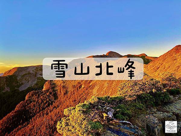 IMG_5420.jpeg IMG_5420.jpeg