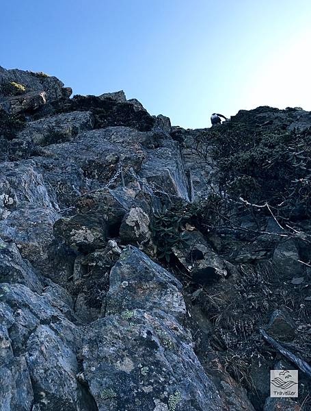 玉山北主東IMG_7272.JPG 玉山北主東IMG_7272.JPG