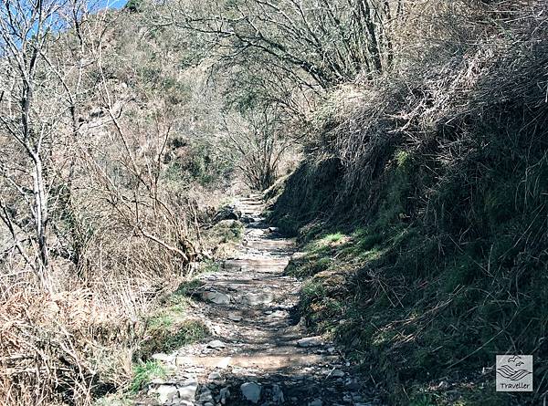 玉山北主東IMG_7148.JPG 玉山北主東IMG_7148.JPG