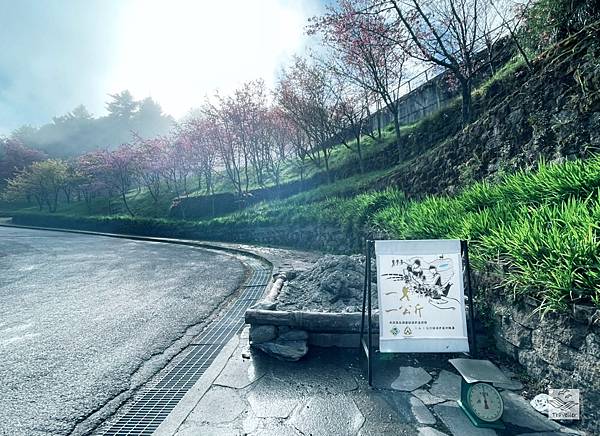 嘉明湖IMG_6993.jpeg 嘉明湖IMG_6993.jpeg