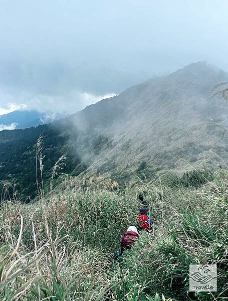 萬大IMG_1808.jpeg 萬大IMG_1808.jpeg