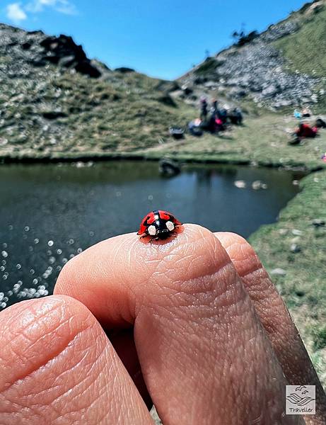 能高IMG_8727.jpeg 能高IMG_8727.jpeg