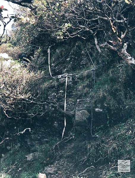 能高IMG_8483.jpeg 能高IMG_8483.jpeg