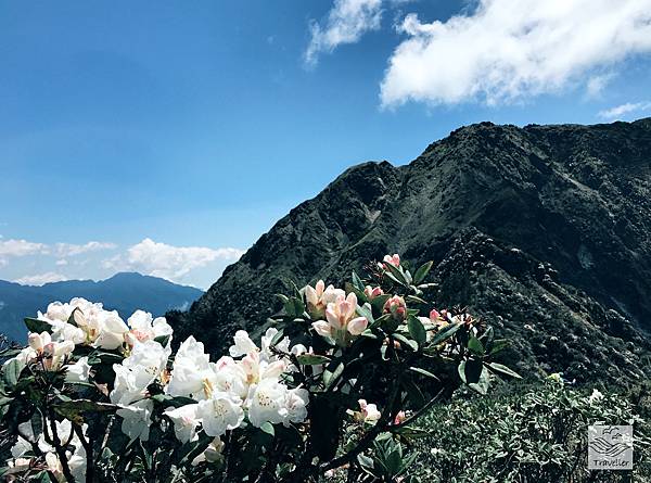 能高IMG_8477.jpeg 能高IMG_8477.jpeg