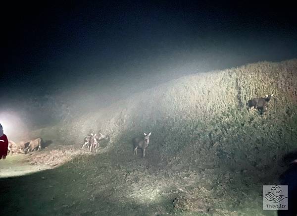 IMG_8716.jpeg IMG_8716.jpeg