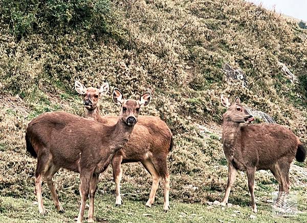 IMG_8747.jpeg IMG_8747.jpeg