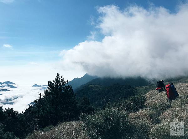 IMG_8514.jpeg IMG_8514.jpeg