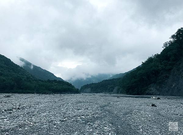 IMG_8591.jpeg IMG_8591.jpeg