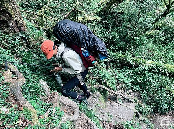 IMG_2268.jpeg IMG_2268.jpeg