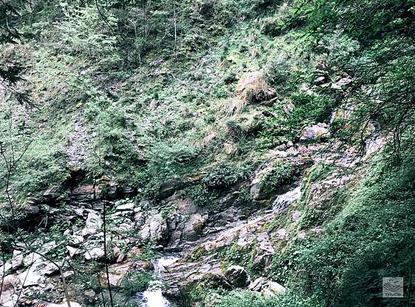 IMG_8589.jpeg IMG_8589.jpeg