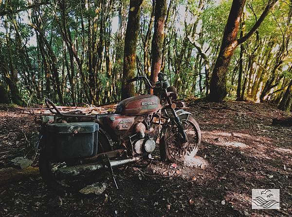 IMG_0901.jpeg IMG_0901.jpeg