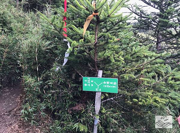 IMG_0903.jpeg IMG_0903.jpeg