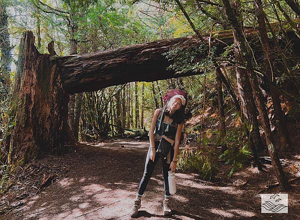 IMG_0971.jpeg IMG_0971.jpeg