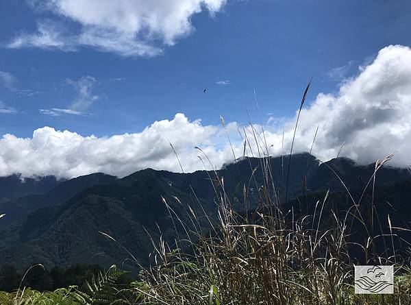 IMG_0946.jpeg IMG_0946.jpeg