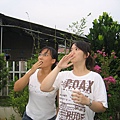 IMG_3969.jpg