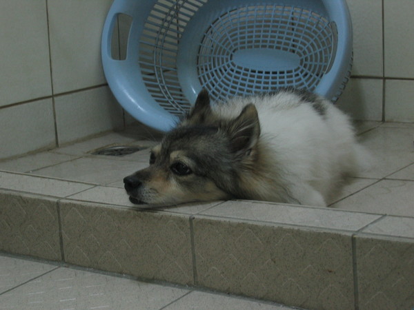 窮極無聊的表情~