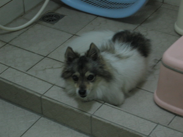 什麼？你在看我嗎？