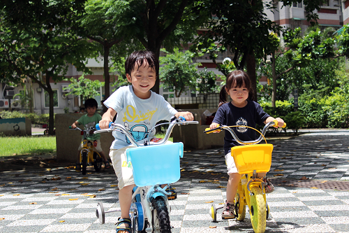 (265)201206兩輪腳踏車-10