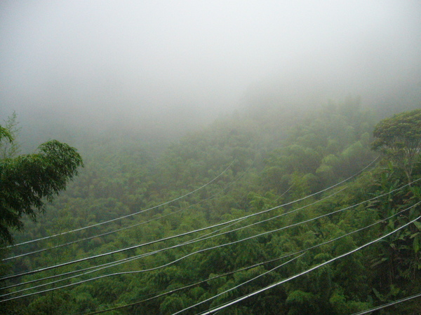 雲跟霧，傻傻分不清楚。