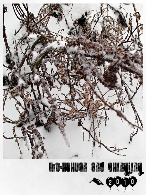 合歡山賞雪5.jpg 合歡山賞雪5.jpg